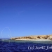 island_brother_little_bro_l_h_0202_egy0037.jpg
